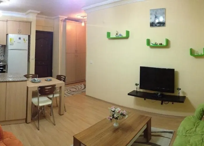 安纳托利亚公寓 *